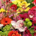 A Note About Blossoms